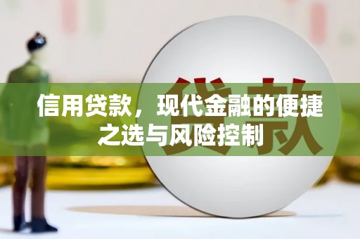 燕巢信用贷款，现代金融的便捷之选与风险控制