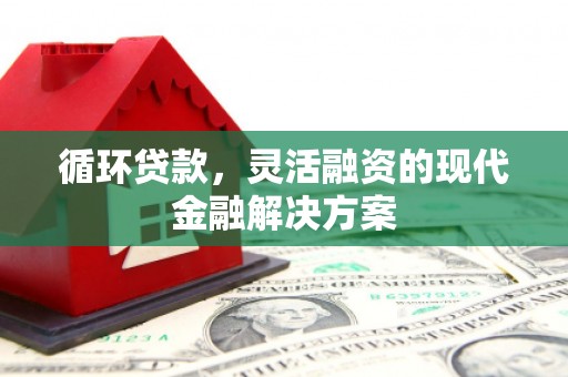 燕巢循环贷款，灵活融资的现代金融解决方案