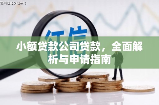 燕巢小额贷款公司贷款，全面解析与申请指南