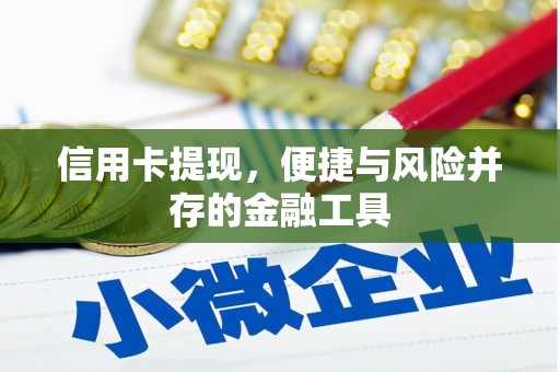 燕巢信用卡提现，便捷与风险并存的金融工具