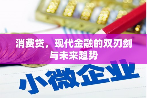 燕巢消费贷，现代金融的双刃剑与未来趋势