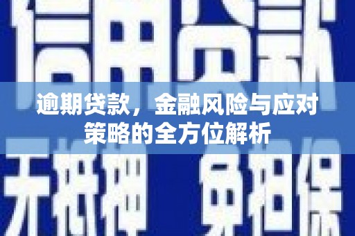 燕巢逾期贷款，金融风险与应对策略的全方位解析