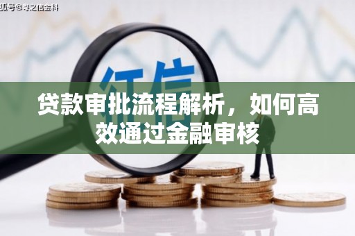 燕巢贷款审批流程解析，如何高效通过金融审核