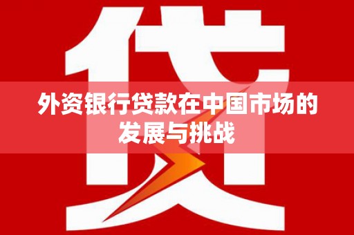 燕巢外资银行贷款在中国市场的发展与挑战