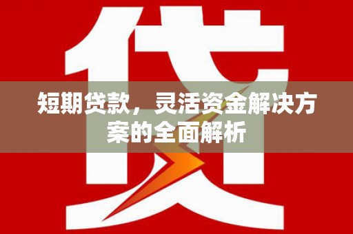 燕巢短期贷款，灵活资金解决方案的全面解析