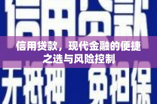 燕巢信用贷款，现代金融的便捷之选与风险控制