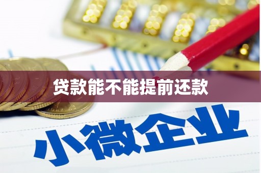 燕巢贷款能不能提前还款