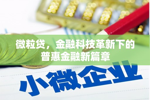 燕巢微粒贷，金融科技革新下的普惠金融新篇章