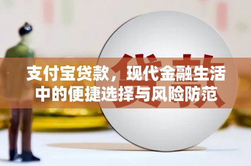 燕巢支付宝贷款，现代金融生活中的便捷选择与风险防范