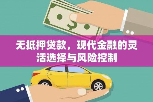 燕巢无抵押贷款，现代金融的灵活选择与风险控制