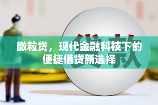 燕巢微粒贷，现代金融科技下的便捷借贷新选择