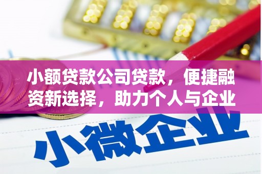 燕巢小额贷款公司贷款，便捷融资新选择，助力个人与企业成长
