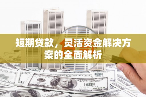 燕巢短期贷款，灵活资金解决方案的全面解析