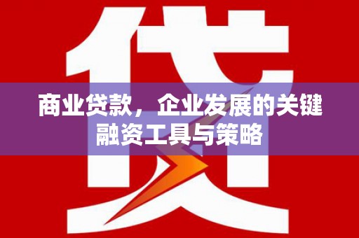 燕巢商业贷款，企业发展的关键融资工具与策略