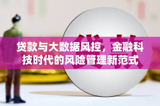 燕巢贷款与大数据风控，金融科技时代的风险管理新范式
