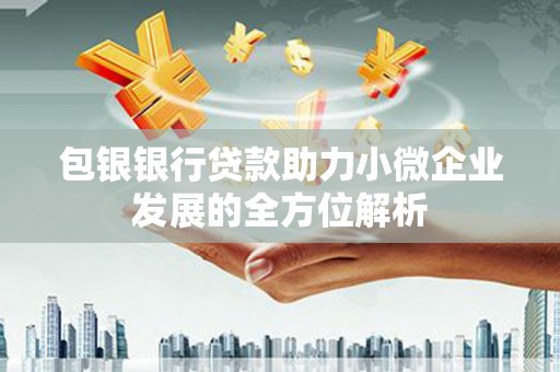 燕巢包银银行贷款助力小微企业发展的全方位解析