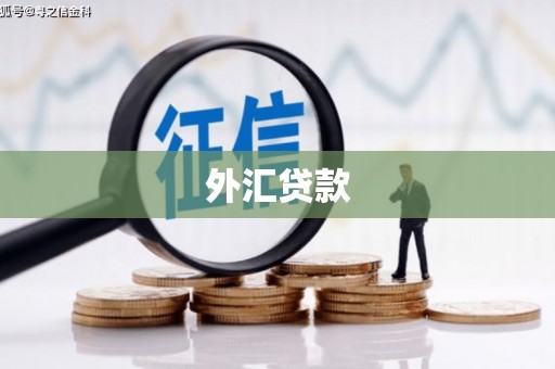 燕巢外汇贷款