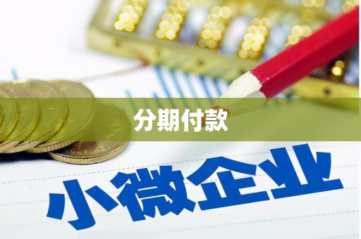 燕巢分期付款