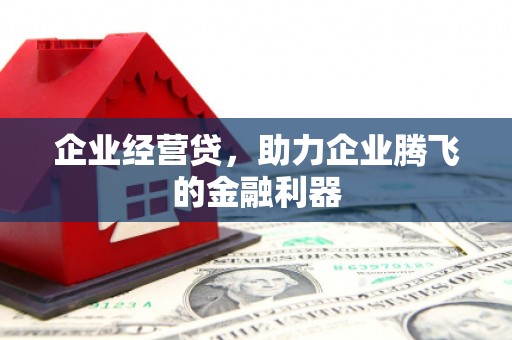 燕巢企业经营贷，助力企业腾飞的金融利器