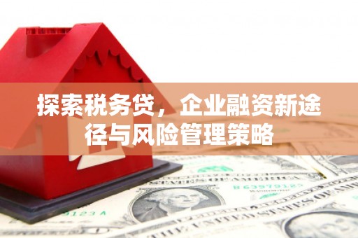燕巢探索税务贷，企业融资新途径与风险管理策略