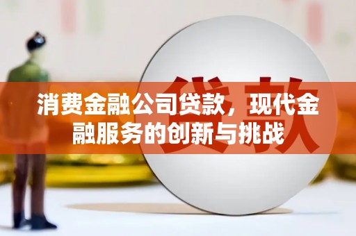 燕巢消费金融公司贷款，现代金融服务的创新与挑战