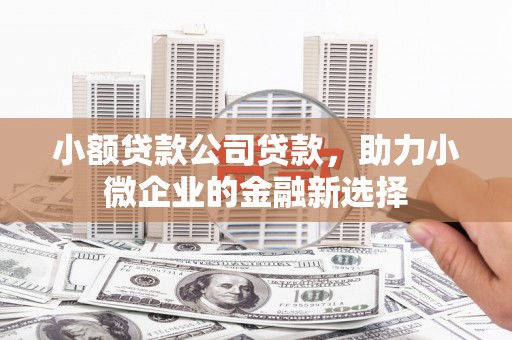 燕巢小额贷款公司贷款，助力小微企业的金融新选择