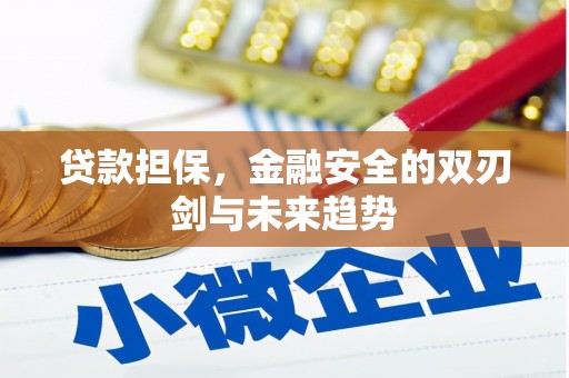 燕巢贷款担保，金融安全的双刃剑与未来趋势