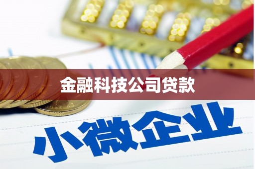 燕巢金融科技公司贷款