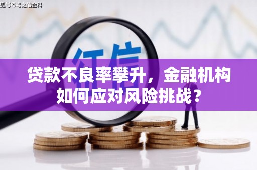 燕巢贷款不良率攀升，金融机构如何应对风险挑战？