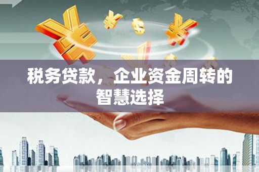 燕巢税务贷款，企业资金周转的智慧选择