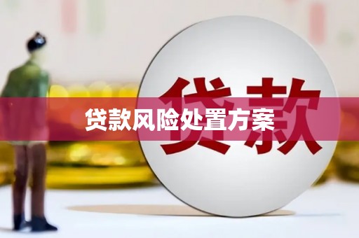 燕巢贷款风险处置方案