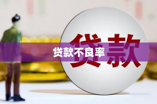 燕巢贷款不良率