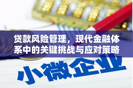 燕巢贷款风险管理，现代金融体系中的关键挑战与应对策略