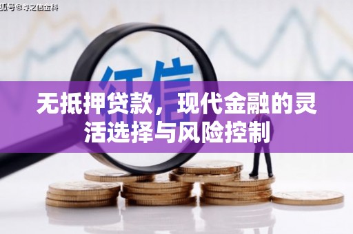 燕巢无抵押贷款，现代金融的灵活选择与风险控制
