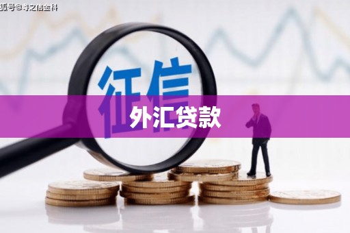 燕巢外汇贷款