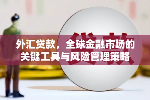燕巢外汇贷款，全球金融市场的关键工具与风险管理策略