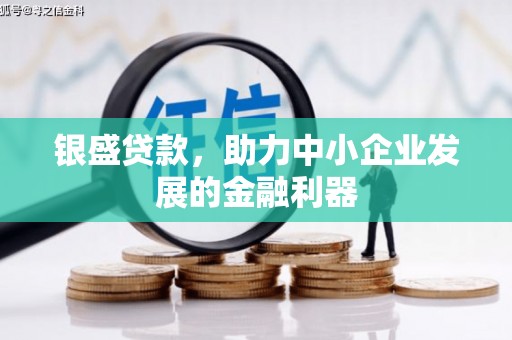 燕巢银盛贷款，助力中小企业发展的金融利器