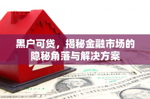 燕巢黑户可贷，揭秘金融市场的隐秘角落与解决方案