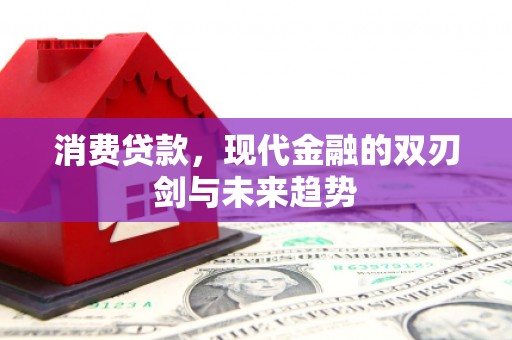 燕巢消费贷款，现代金融的双刃剑与未来趋势