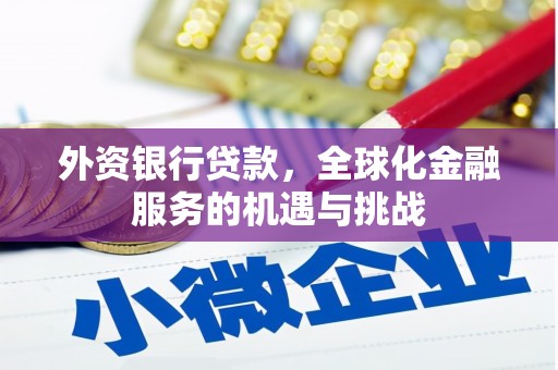燕巢外资银行贷款，全球化金融服务的机遇与挑战