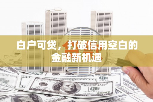 燕巢白户可贷，打破信用空白的金融新机遇