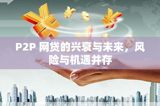 燕巢P2P 网贷的兴衰与未来，风险与机遇并存