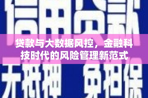 燕巢贷款与大数据风控，金融科技时代的风险管理新范式