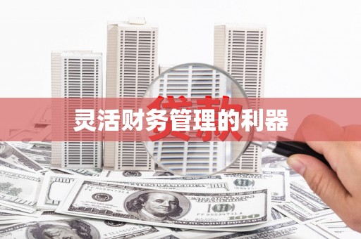 燕巢灵活财务管理的利器