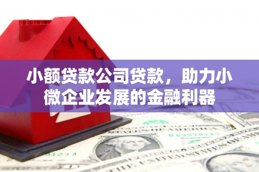 燕巢小额贷款公司贷款，助力小微企业发展的金融利器