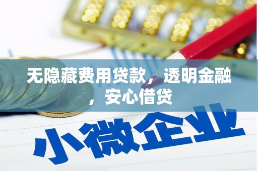 燕巢无隐藏费用贷款，透明金融，安心借贷