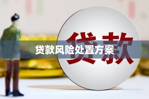 燕巢贷款风险处置方案