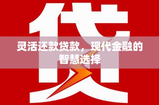 燕巢灵活还款贷款，现代金融的智慧选择