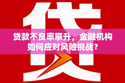 燕巢贷款不良率攀升，金融机构如何应对风险挑战？
