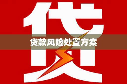 燕巢贷款风险处置方案